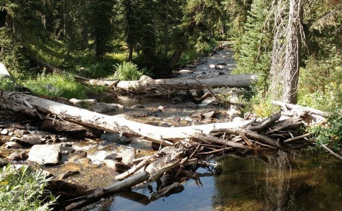 注册Stripe之前，这几个问题要想清楚